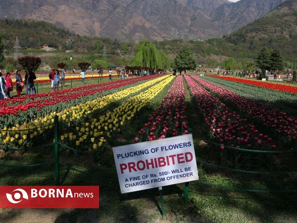 باغ لاله یادبود ایندریا گاندی