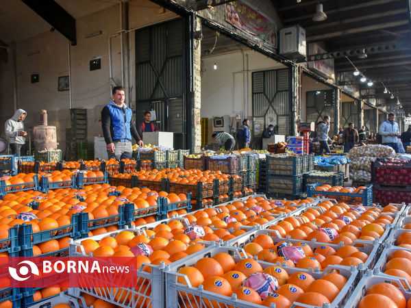 میدان میوه و تره بار در روزهای پایانی سال
