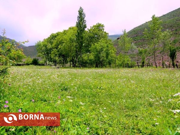 طبیعت زیبای روستای دلیر- مرزن آباد