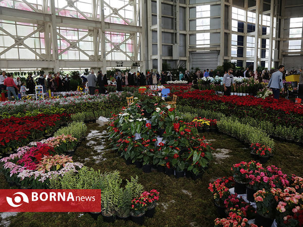 شانزدهمین نمایشگاه بین المللی گل و گیاه تهران