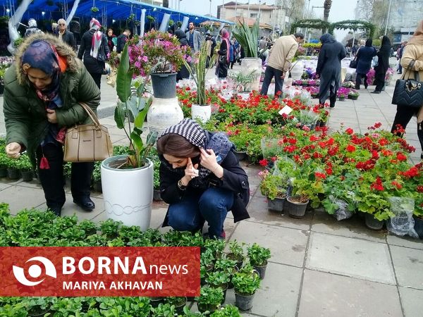 جشنواره گل و گیاه رشت 