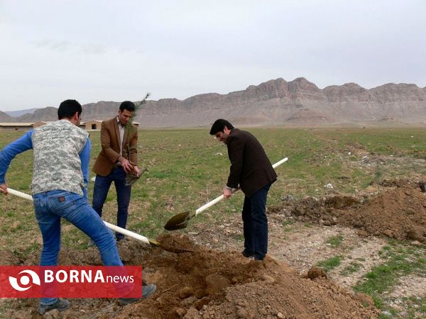 آغازفعالیتهای درختکاری در رومشکان درآستانه هفته منابع طبیعی