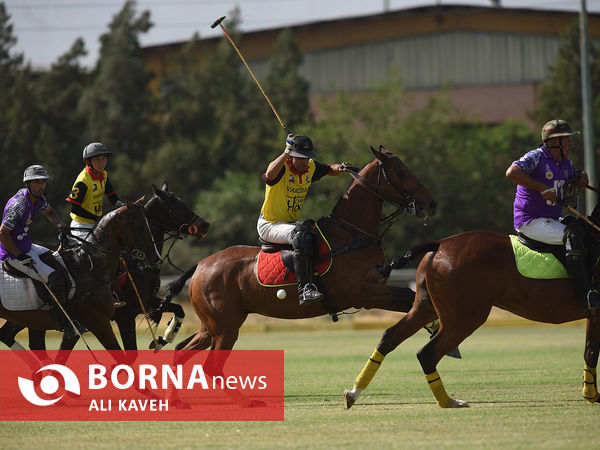 لیگ  ملی چوگان