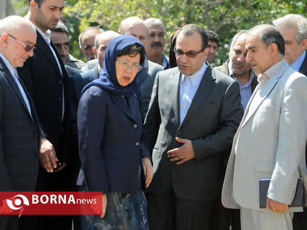 بررسی نظام سلامت در مناظق روستایی کشور