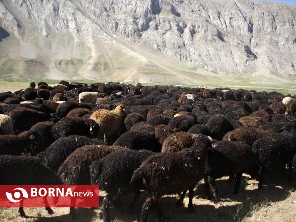 بازدید استاندار تهران از مناطق عشایری دشت لار