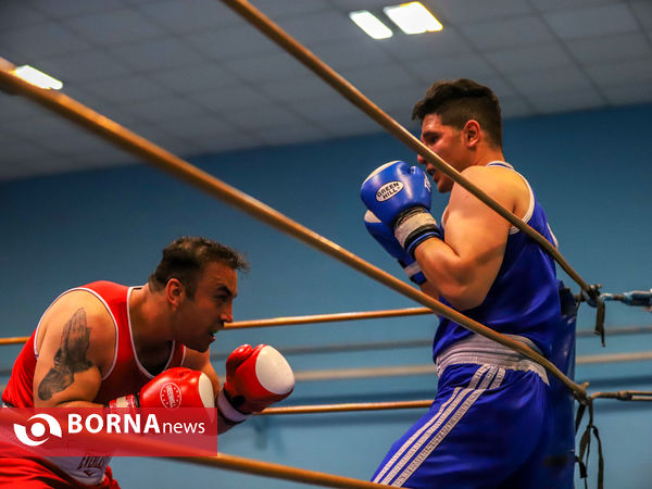 مسابقات بوکس قهرمانی بزرگسالان استان مرکزی