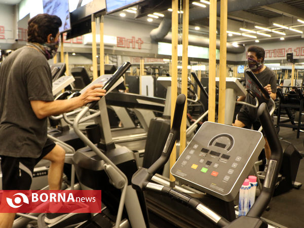 بازرسی ویژه از باشگاههای ورزشی شیراز