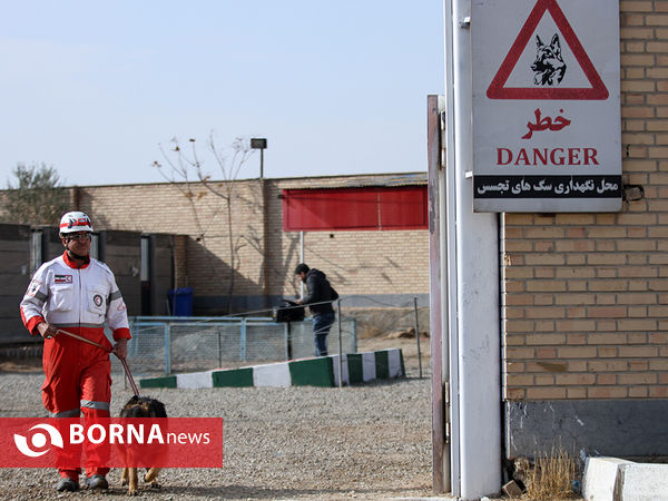 بازدید خبرنگاران از مرکز آموزش و نگهداری سگ های تجسس