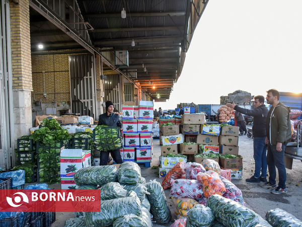 میدان میوه و تره بار در روزهای پایانی سال