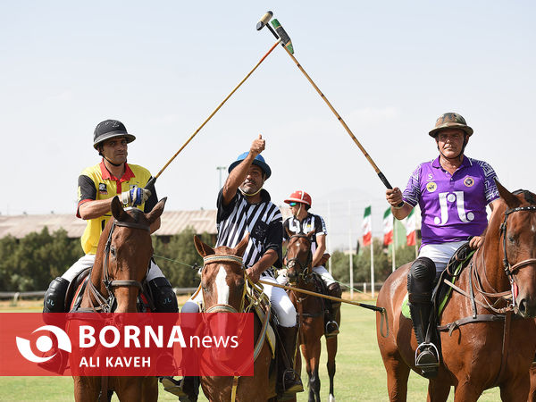 لیگ  ملی چوگان