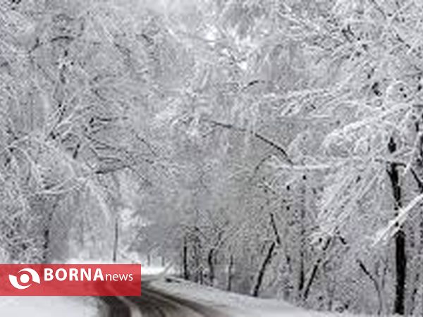 بارش برف در یاسوج