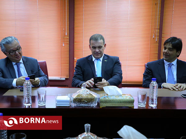 دیدار پارلمانی سفیر برزیل با وزیر ورزش