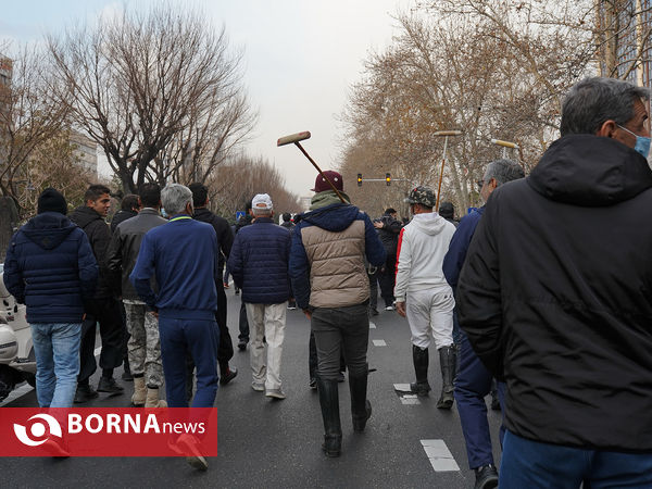 همایش بزرگ پیاده روی