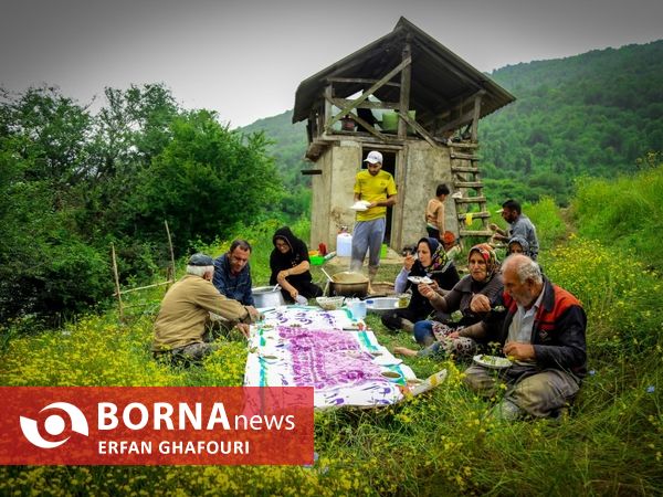 طبیعت زیبای شهرستان ساری