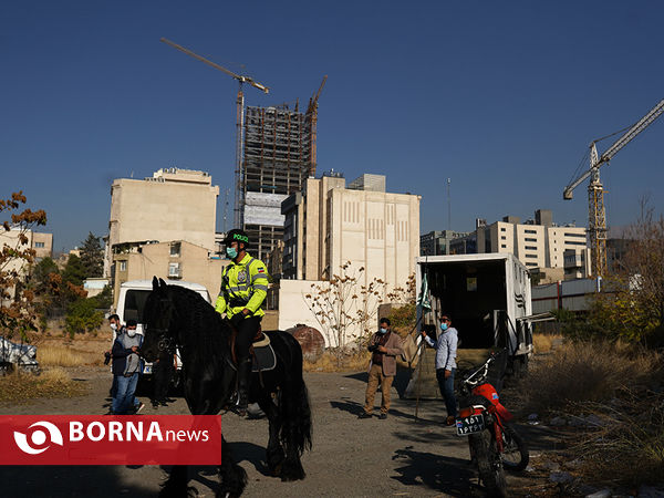 رژه سوارکاران ناجا