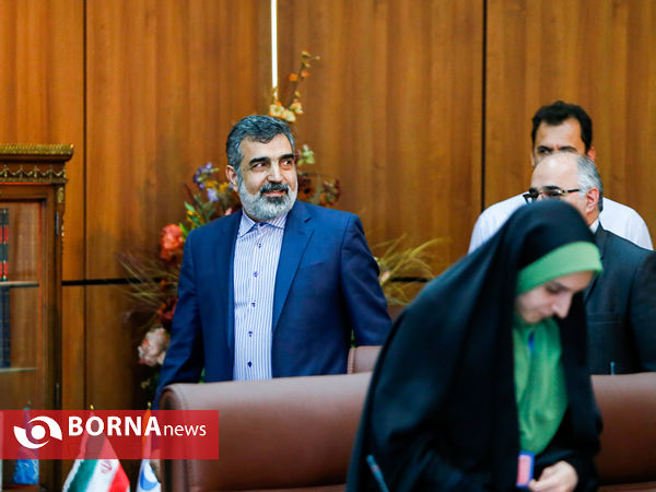 نشست خبری سخنگوی سازمان انرژی اتمی