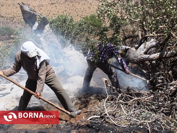 مهار آتش در ارتفاعات پاسارگاد