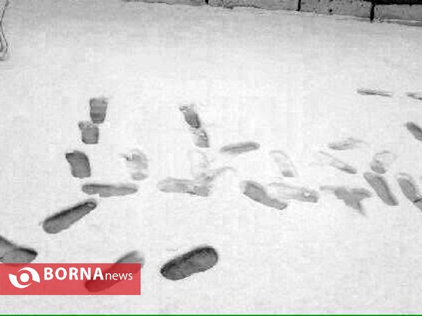 بارش نخستین برف پاییزی در تهران