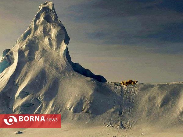تصاویر منتخب مسابقه نشنال جئوگرافیک ۲۰۱۶