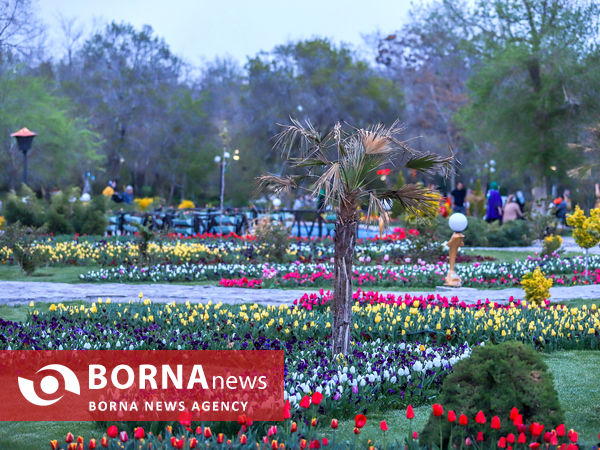 جشنواره گل‌های لاله در اراک