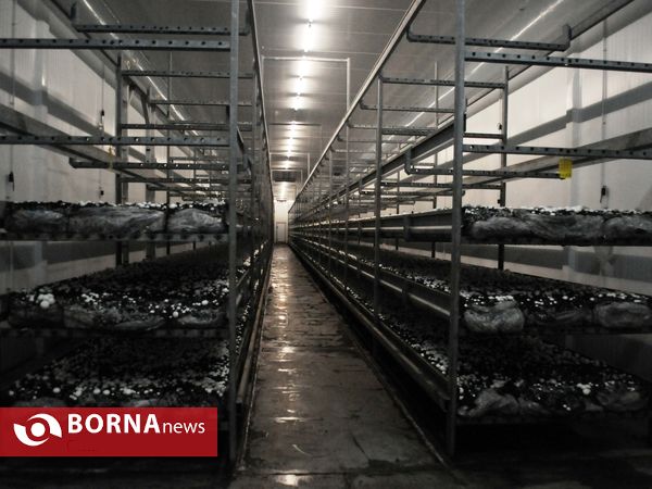 بازدید استاندار تهران از پروژه های شهرستان ملارد