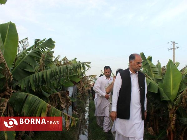 بازدید استاندار سیستان و بلوچستان از ظرفیت های کشاورزی بخش زرآباد