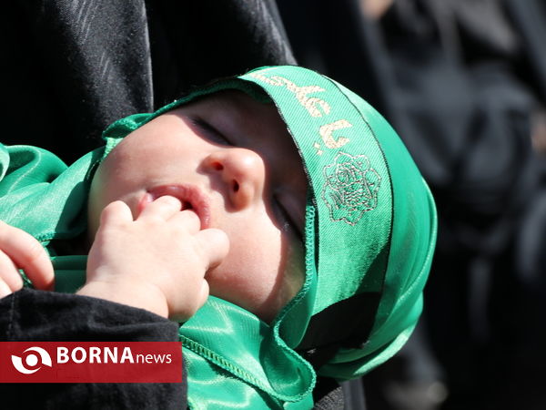 همایش جهانی شیرخوارگان حسینی
