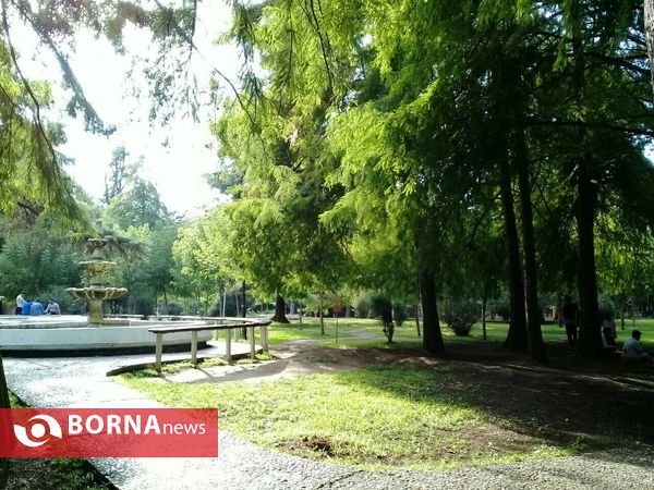 چشم اندازی از طبیعت گیلان _ شهریور 1400