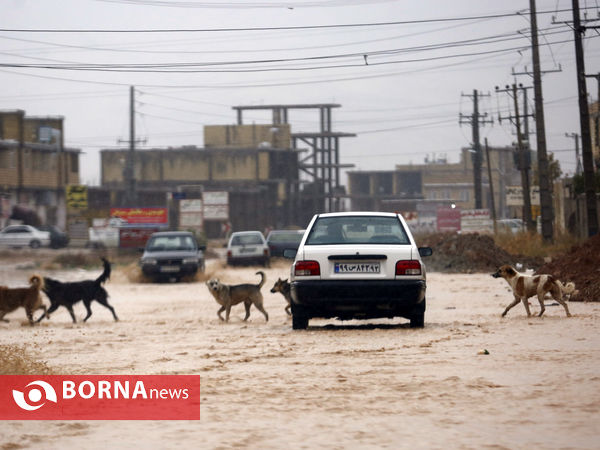 روستاهای اطراف شیراز روی آب