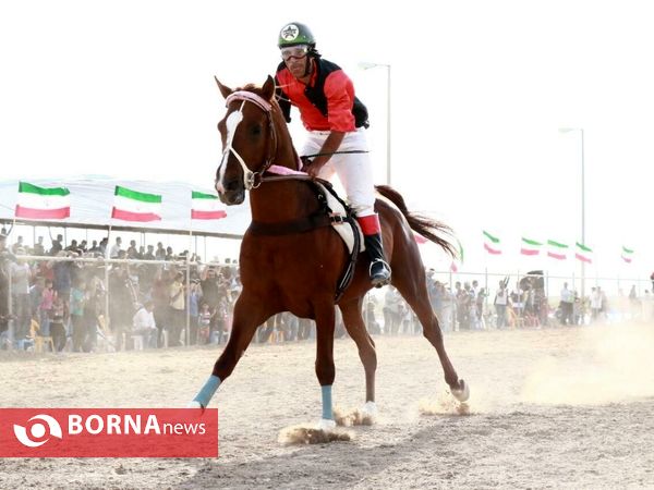 هفته سوم کورس اسبدوانی اسب اصیل عرب "جام بُراق اروند"