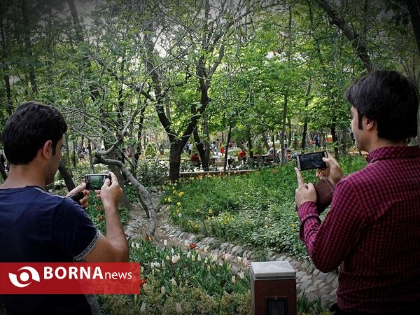 باغ ایرانی