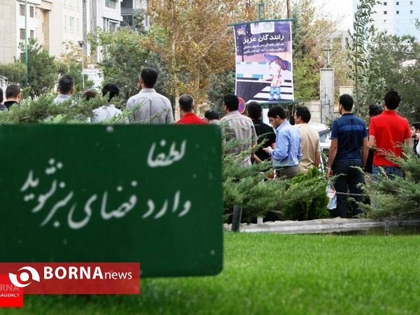 برگزیده گزارش های تصویری مهر ۱۳۹۴