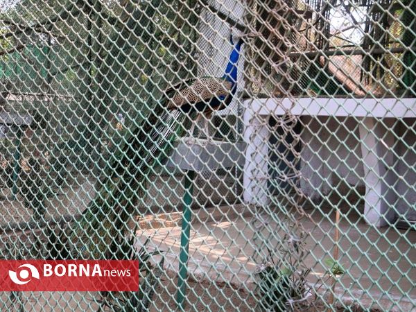 پارک ملی جانورشناسی دهلی نو