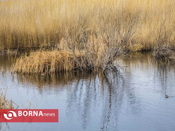 زریبار کردستان