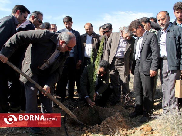 درختکاری مردم و سازمان های مردم نهاد -شیراز