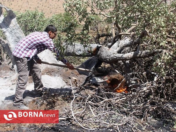 مهار آتش در ارتفاعات پاسارگاد