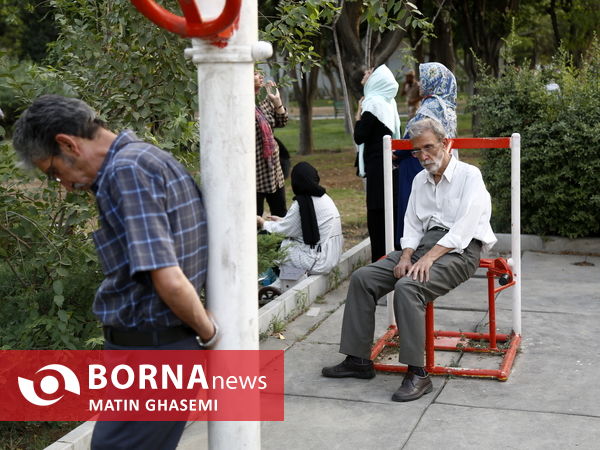 دور همی سالمندان تهران با عنوان "یاد ایام"