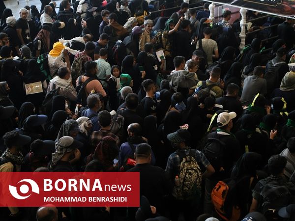 دلدادگان حسینی مرز شلمچه