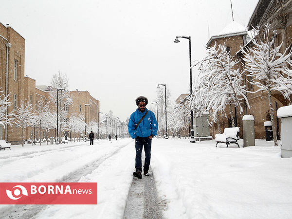 بارش برف در تهران -2