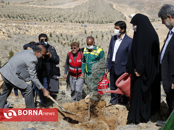 آیین روز درختکاری در شیراز