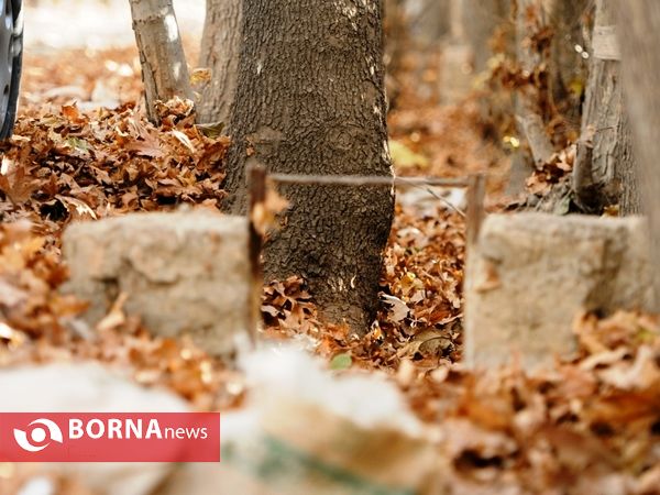 آخرین لحظات پاییزی