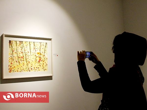 نمایشگاه نقاشی مریم حیدرزاده