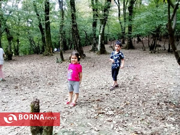 چشم اندازی از طبیعت گیلان _ شهریور 1400