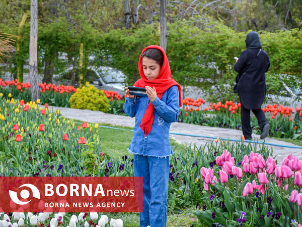 جشنواره گل‌های لاله در اراک