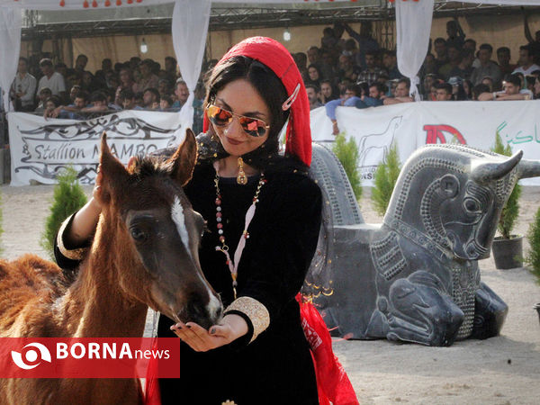 جشنواره بین المللی زیبایی اسب اصیل ایرانی در شیراز