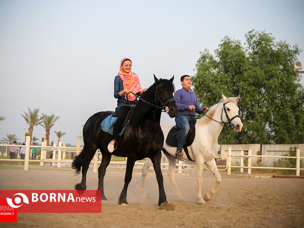 بازديد+هيئت+جوانان+کشورهای+حاشیه+دریای+خزر+از+مجتمع+نمک+آبرود+و+دشت+نور