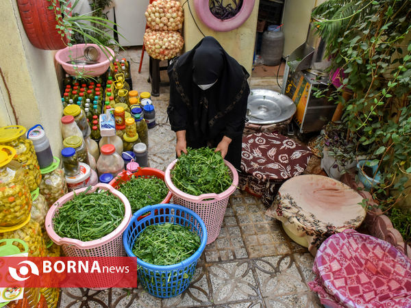 ماه منیر بانوی موفق کارآفرین