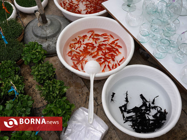 میدان تجریش تهران در آستانه سال نو