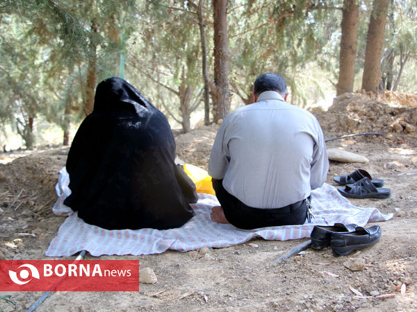دعای عرفه در تپه الشهدای شیراز