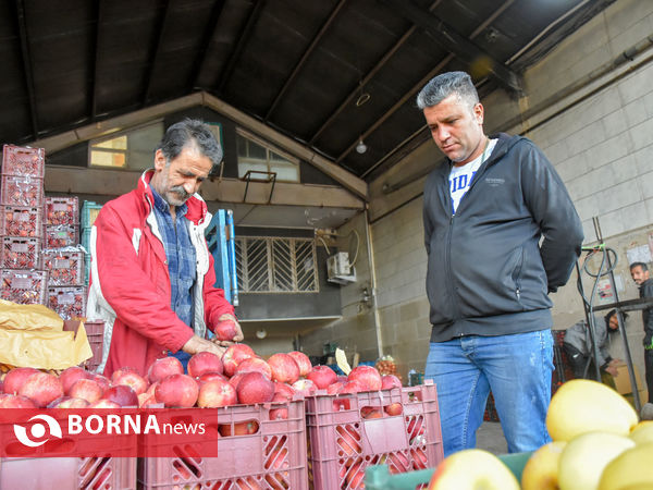 میدان میوه و تره بار در روزهای پایانی سال